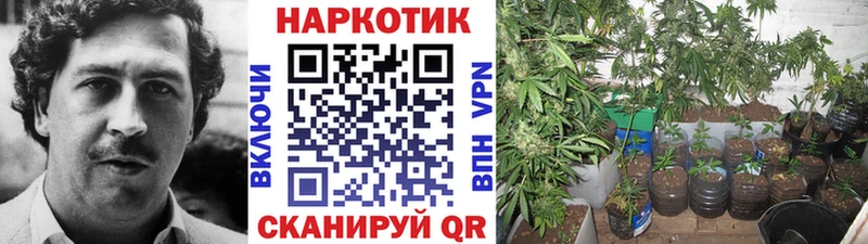 Где найти наркотики Обь Бошки Шишки  СОЛЬ  COCAIN  МЕГА рабочий сайт  Мефедрон  ГАШ 