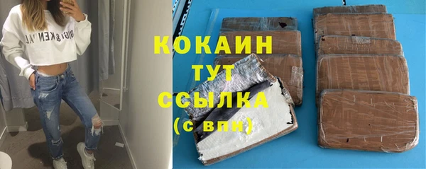 эйфоретик Богданович