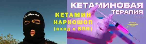 индика Осинники