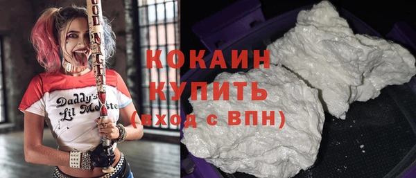 шишки Данков
