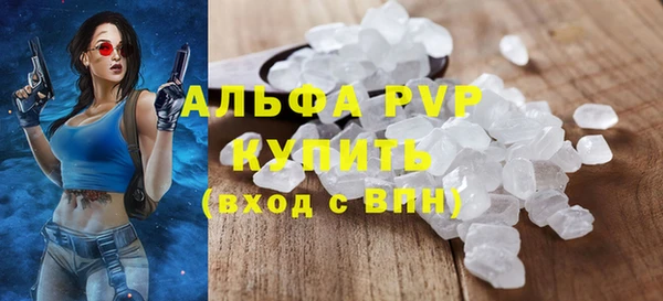гидра Богородицк