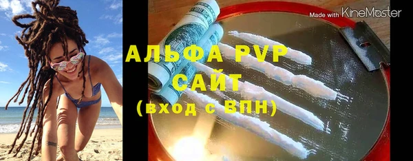 гидра Богородицк