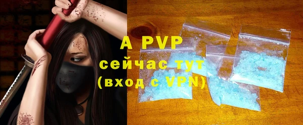 гидра Богородицк