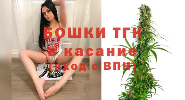 прущие грибы Белокуриха