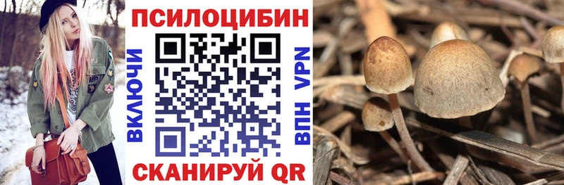 Галлюциногенные грибы GOLDEN TEACHER  Обь 
